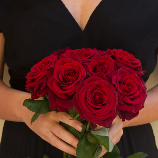 Same Day Roses Delivery in Las Vegas: Your Ultimate Guide to Fresh Flower Express Delivery